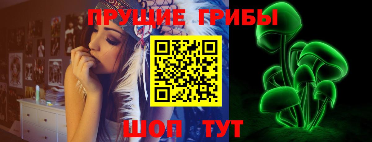 купить наркотик  Вход с VPN  Лесозаводск  Псилоцибиновые грибы MAGIC MUSHROOMS  Галлюциногенные грибы прущие грибы 